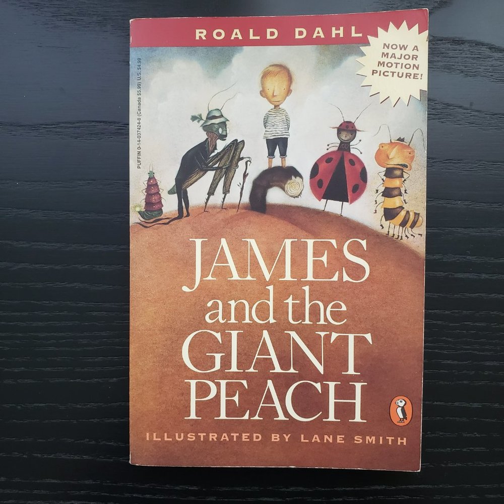 11 Kids Classics Paperback Youth and Teenager Books